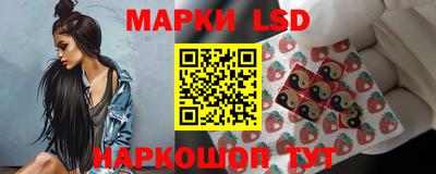 крисы Нальчик