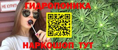 крисы Нальчик