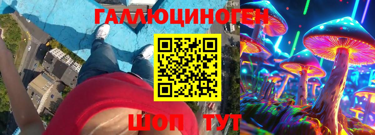 Феодосия  наркошоп  Галлюциногенные грибы Psilocybe  Вход с VPN  Псилоцибиновые грибы прущие грибы 